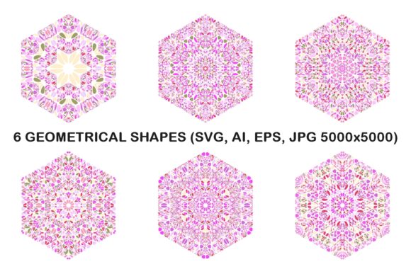 6 Floral Hexagon Graphics for Crafts and Designs