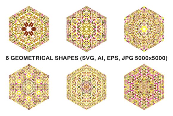 6 Floral Hexagon Logo Design Templates: A Real-World Embroidery Review